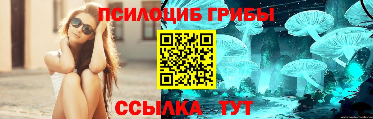 Зеленодольск  Галлюциногенные грибы ЛСД  цены наркотик  Вход с VPN 